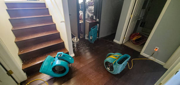 Best Professional water damage repair  in Eming Island, FL