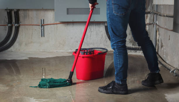 Carpet water damage restoration in Fleming Island, FL